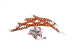 1i4t: CRYSTAL STRUCTURE ANALYSIS OF RAC1-GMPPNP IN COMPLEX WITH ARFAPTIN