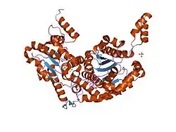 1iat: CRYSTAL STRUCTURE OF HUMAN PHOSPHOGLUCOSE ISOMERASE/NEUROLEUKIN/AUTOCRINE MOTILITY FACTOR/MATURATION FACTOR