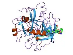 1iht: CRYSTAL STRUCTURE OF THE COMPLEX OF HUMAN ALPHA-THROMBIN AND NON-HYDROLYZABLE BIFUNCTIONAL INHIBITORS, HIRUTONIN-2 AND HIRUTONIN-6