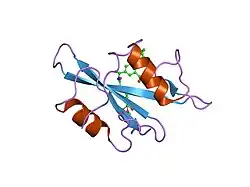 1ijr: Crystal structure of LCK SH2 complexed with nonpeptide phosphotyrosine mimetic
