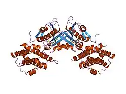 1jm6: Pyruvate dehydrogenase kinase, isozyme 2, containing ADP