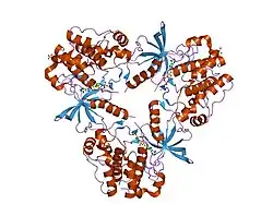 1jqh: IGF-1 receptor kinase domain