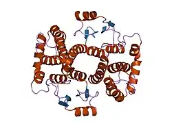 1k3o: Crystal Structure Analysis of apo Glutathione S-Transferase