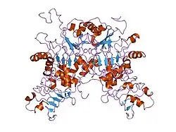 1koo: THE CRYSTAL STRUCTURE AND MUTATIONAL ANALYSIS OF A NOVEL RNA-BINDING DOMAIN FOUND IN THE HUMAN TAP NUCLEAR MRNA EXPORT FACTOR