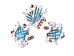1l6m: Neutrophil Gelatinase-associated Lipocalin is a Novel Bacteriostatic Agent that Interferes with Siderophore-mediated Iron Acquisition