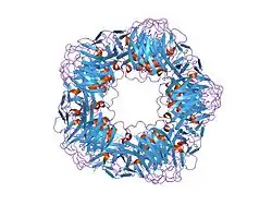 1lj7: Crystal structure of calcium-depleted human C-reactive protein from perfectly twinned data