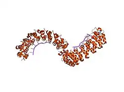 1m8w: CRYSTAL STRUCTURE OF THE PUMILIO-HOMOLOGY DOMAIN FROM HUMAN PUMILIO1 IN COMPLEX WITH NRE1-19 RNA