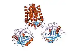 1m9e: X-ray crystal structure of Cyclophilin A/HIV-1 CA N-terminal domain (1-146) M-type H87A Complex.
