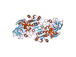 1mc5: Ternary complex of Human glutathione-dependent formaldehyde dehydrogenase with S-(hydroxymethyl)glutathione and NADH