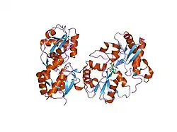 1mqg: Crystal Structure of the GluR2 Ligand Binding Core (S1S2J) in Complex with Iodo-Willardiine at 2.15 Angstroms Resolution