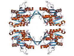 1nbi: Structure of R175K mutated glycine N-methyltransferase complexed with S-adenosylmethionine, R175K:SAM.