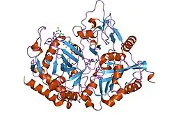1nhx: PEPCK COMPLEX WITH A GTP-COMPETITIVE INHIBITOR