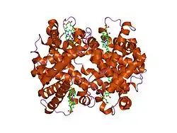 1nqp: Crystal structure of Human hemoglobin E at 1.73 A resolution