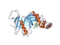 1nrg: Structure and Properties of Recombinant Human Pyridoxine-5'-Phosphate Oxidase
