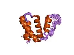 1nti: RDC-refined NMR structure of bovine Acyl-coenzyme A Binding Protein, ACBP