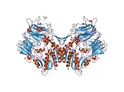 1nu8: Crystal structure of human dipeptidyl peptidase IV (DPP-IV) in complex with Diprotin A (ILI)