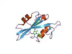 1o43: CRYSTAL STRUCTURE OF SH2 IN COMPLEX WITH RU82129.