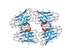 1oez: ZN HIS46ARG MUTANT OF HUMAN CU, ZN SUPEROXIDE DISMUTASE