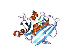 1pd9: Analysis of Three Crystal Structure Determinations of a 5-Methyl-6-N-Methylanilino Pyridopyrimidine antifolate Complex with Human Dihydrofolate Reductase