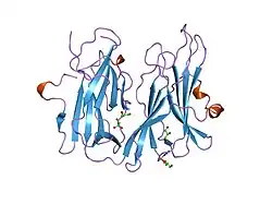 1phm: PEPTIDYLGLYCINE ALPHA-HYDROXYLATING MONOOXYGENASE (PHM) FROM RAT