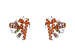 1pmb: THE DETERMINATION OF THE CRYSTAL STRUCTURE OF RECOMBINANT PIG MYOGLOBIN BY MOLECULAR REPLACEMENT AND ITS REFINEMENT