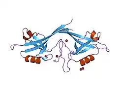 1q3o: Crystal structure of the Shank PDZ-ligand complex reveals a class I PDZ interaction and a novel PDZ-PDZ dimerization