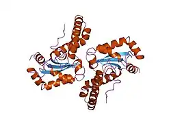1qnm: HUMAN MANGANESE SUPEROXIDE DISMUTASE MUTANT Q143N
