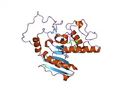 1r7x: Glycosyltransferase B in complex with 3-amino-acceptor analog inhibitor