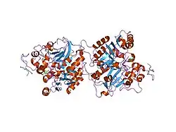 1rgt: Crystal structure of human Tyrosyl-DNA Phosphodiesterase complexed with vanadate, octopamine, and tetranucleotide AGTC