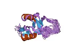 1rjh: Structure of the Calcium Free Form of the C-type Lectin-like Domain of Tetranectin