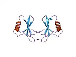 1rto: PROTON NMR ASSIGNMENTS AND SOLUTION CONFORMATION OF RANTES, A CHEMOKINE OF THE CC TYPE
