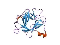 1s0l: Interleukin 1 beta mutant F42W