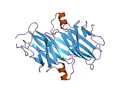 1tta: THE X-RAY CRYSTAL STRUCTURE REFINEMENTS OF NORMAL HUMAN TRANSTHYRETIN AND THE AMYLOIDOGENIC VAL30MET VARIANT TO 1.7 ANGSTROMS RESOLUTION