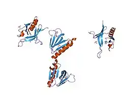 1u5d: Crystal Structure of the PH domain of SKAP55