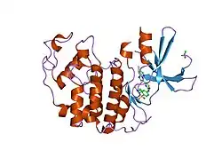 1urw: CDK2 IN COMPLEX WITH AN IMIDAZO[1,2-B]PYRIDAZINE