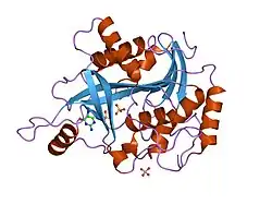 1v2h: Crystal structure of human PNP complexed with guanine
