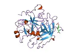 1vr1: Specificity for Plasminogen Activator Inhibitor-1