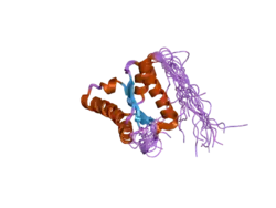 1x52: Solution structures of the C-terminal domain of the human Pelota homolog (CGI-17)