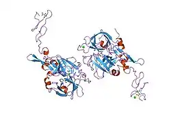 1xkb: FACTOR XA COMPLEXED WITH A SYNTHETIC INHIBITOR FX-2212A,(2S)-(3'-AMIDINO-3-BIPHENYLYL)-5-(4-PYRIDYLAMINO)PENTANOIC ACID