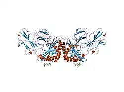 1xz0: Crystal structure of CD1a in complex with a synthetic mycobactin lipopeptide