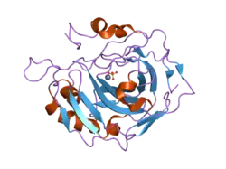 1yo1: Proton Transfer from His200 in Human Carbonic Anhydrase II