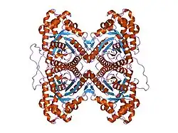 1zah: Fructose-1,6-bisphosphate aldolase from rabbit muscle