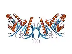 1zc3: Crystal structure of the Ral-binding domain of Exo84 in complex with the active RalA