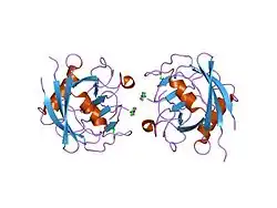 1zkf: Cyrstal Structure of Human Cyclophilin-A in Complex with suc-AGPF-pNA