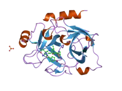 1zpz: Factor XI catalytic domain complexed with N-((R)-1-(4-bromophenyl)ethyl)urea-Asn-Val-Arg-alpha-ketothiazole