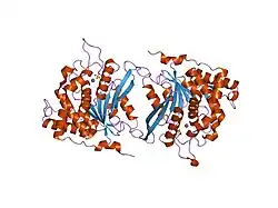 2afm: Crystal structure of human glutaminyl cyclase at pH 6.5