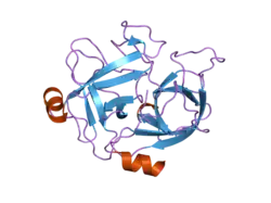 2asu: Crystal Structure of the beta-chain of HGFl/MSP