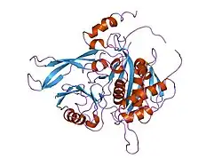 2ayo: Structure of USP14 bound to ubquitin aldehyde