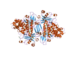 2bry: CRYSTAL STRUCTURE OF THE NATIVE MONOOXYGENASE DOMAIN OF MICAL AT 1.45 A RESOLUTION