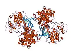 2c5o: DIFFERENTIAL BINDING OF INHIBITORS TO ACTIVE AND INACTIVE CDK2 PROVIDES INSIGHTS FOR DRUG DESIGN
